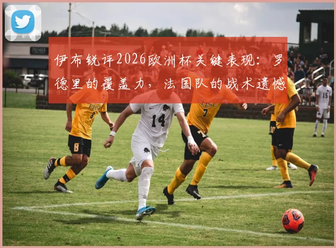 伊布锐评2026欧洲杯关键表现:罗德里的覆盖力,法国队的战术遗憾