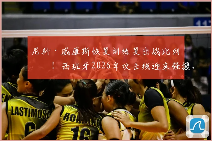 尼科·威廉斯恢复训练复出战比利时!西班牙2026年攻击线迎来强援,双方阵容前瞻与观赛渠道一览