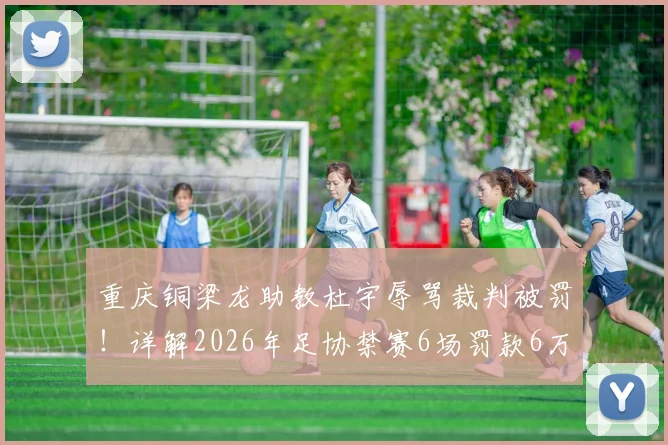 重庆铜梁龙助教杜宇辱骂裁判被罚！详解2026年足协禁赛6场罚款6万处罚依据与赛场纪律重要性